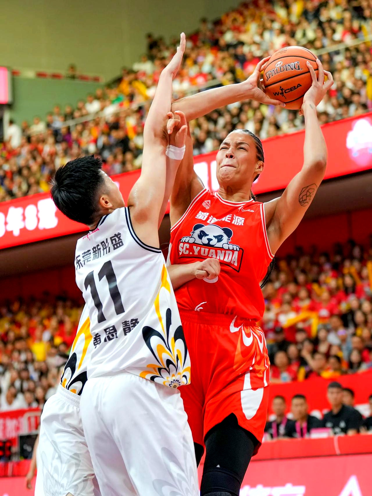 关键时刻足总杯焦点战;山东男篮豪取连胜;压力陡增;团队化学反应显著(驻马店首富被抓)-开云在线入口